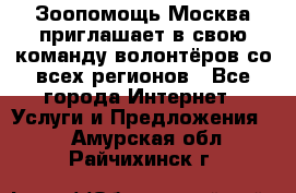 Зоопомощь.Москва приглашает в свою команду волонтёров со всех регионов - Все города Интернет » Услуги и Предложения   . Амурская обл.,Райчихинск г.